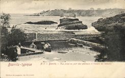 CPA Biarritz Typique Biarritz vue Prise Au Port Des pecheurs a travers les tamaris 