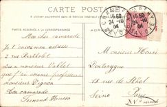 CPA Chambery Fontaine de Boigne Elephants