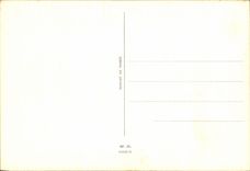 La TARJETA MODERNA florece rosas