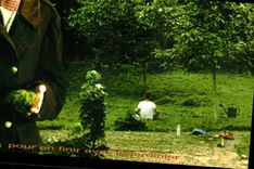 TARJETA MODERNA para acabar alguno con el jardinero