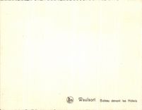 CPA Waulsort Boat In front of the hotels