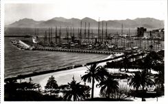 CPA Interior Cannes Of the Port And Esterel Boats