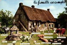 MODERN CARD the Family with the complete Goat Cows Pigs Horse Ass