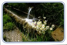 Fuente MODERNA de la TARJETA