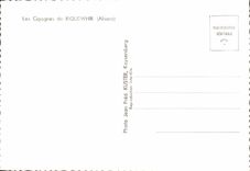 CPSM Storks of Riquewhir