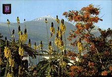 MODERN CARD Tenerife And Teide Chair and coloride