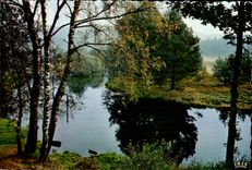 MODERN CARD the Picturesque Limousin In Correze morning of autumn on Vezere close to Bugeat