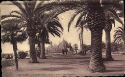 CPA Niza el paladar del embarcadero a traves de las palmeras