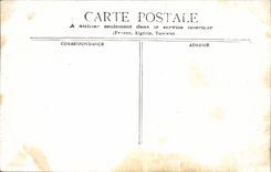 CPA Paris Grand Palais Seen of the bridge Alexandre III