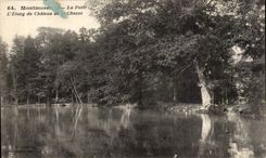 CPA Montmorency La Drill the Pond Of the Castle Of Hunting