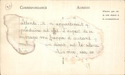 Pieza meridional de Sainte Cecile de la catedral del La de CPA Albi