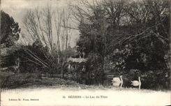 CPA Beziers the Lake Of Titan Swan
