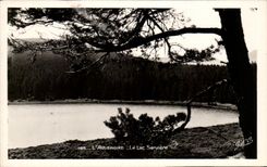 CPA Auvergne the Lake Serviere