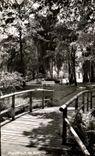 CPSM Werl Westf Im Kurpark