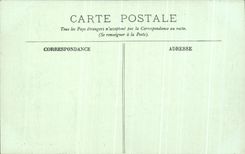 CPA Loaches the Castle Royal La Tower Agnes Sorel and Collegial Saint the Bear