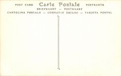 La de Sur del ataque frontal de D Amboise del castillo de CPA las ventanas del atico de Loire