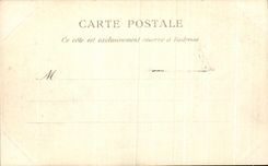 CPA Palate of Fontainebleau Allee covered in the English Garden