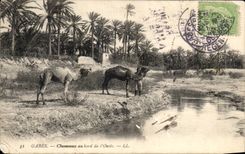 CPA chaneaux Gabes at the edge of I' Oasis Tunisia