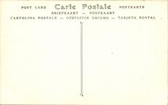 Castillo del La de CPA Amboise