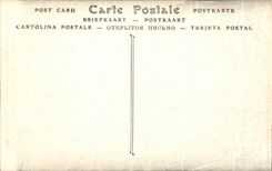 Torre gruesa del La de CPA Amboise del balcon del castillo fuera del hierro Lorge