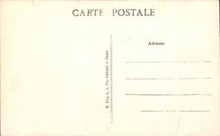 CPA Chenonceaux el castillo visto de Allee grande