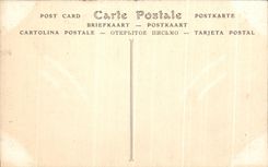 CPA Chateau de Blois Fenetre Aile Francois 1er