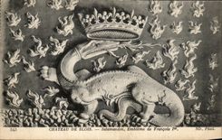 CPA Chateau De Blois Salamandre Embleme de Francois 1er