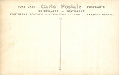 CPA Chateau de Blois Salamandre Embleme de Francois 1er