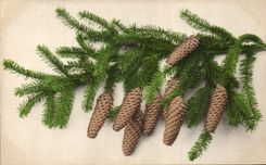 CPA Fantaisie Fleurs Pins 