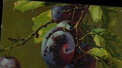 CPA Fantaisie Fleurs Pruneau