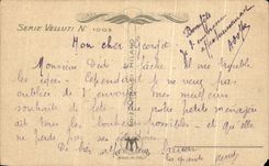 CPA Fantaisie Fleurs Pruneau