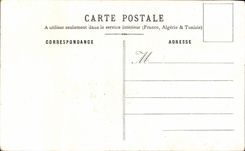 CPA Fantaisie Fleurs Coqueuicots Bluets