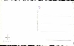 CPA Religieux Biches oiseaux