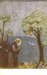 CPA Assisi Francesco Predica Agli Uccelli Giotto