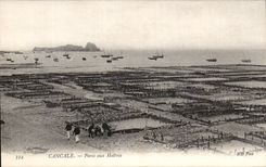 CPA Cancale Parks with the Oysters ostreiculture