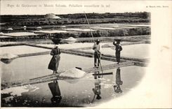 CPA Country Guerande Salt-water Marshes Paludiers Collecting salt