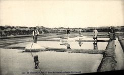 CPA Croisic in the Salt-water marshes in Work