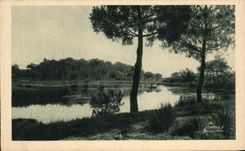 CPA Around the basin of Arcachon Tanks of Jacquets