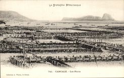 CPA Brittany Pittoresque Cancale the Oyster beds ostreiculture
