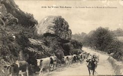 CPA the Valley Tre Auray La Large Rock of the Road of Chartreuse Cows