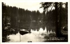 CPA Le Fayet Le Lac Vert et le Mont Blanc
