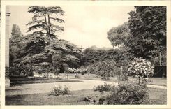 CPA Malmaison Roseraie Et Cedre De marengo