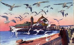 CPA Nice the Palate Gulls