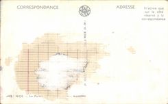 CPA Nice the Palate Gulls