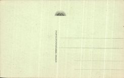 CPA Cauterets Road of Cauterets to the Bridge of Spain