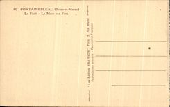 CPA Fontainebleau Le Foret La mare aux Fees