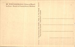 CPA Fontainebleau La Foret Ronde de Fontainebleau a Barbizon