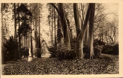 CPA Fontainebleau Jardins du Palais Allee des Platanes