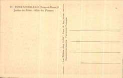 CPA Fontainebleau Jardins du Palais Allee des Platanes