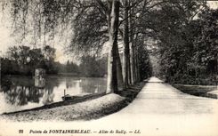 CPA Palais de Fontainbleau Allee de Sully
